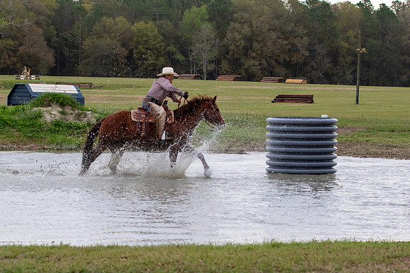 FLHorseParkRace-124