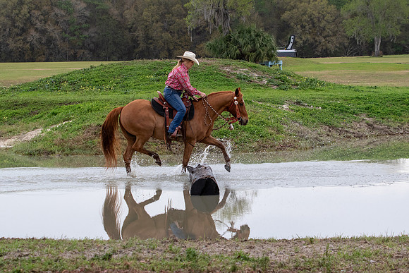 FLHorseParkRace-190