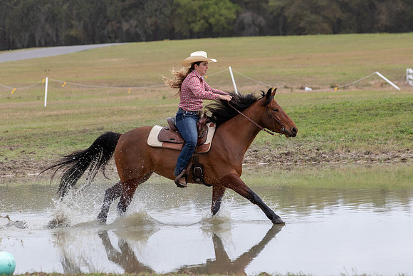 FLHorseParkRace-364