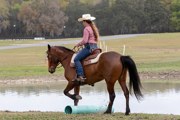 FLHorseParkRace-362