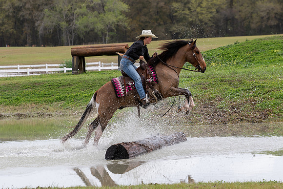 FLHorseParkRace-361