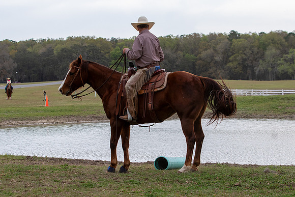 FLHorseParkRace-121