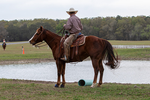 FLHorseParkRace-122