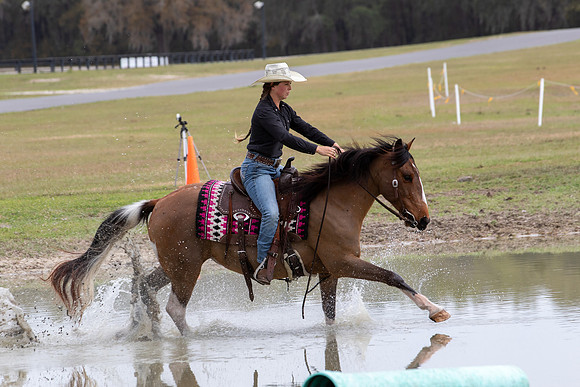 FLHorseParkRace-358