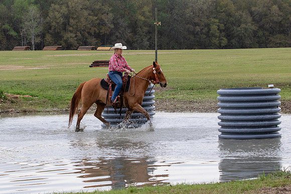 FLHorseParkRace-192