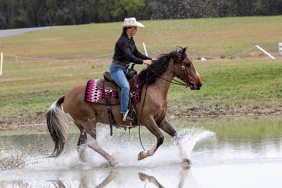 FLHorseParkRace-359