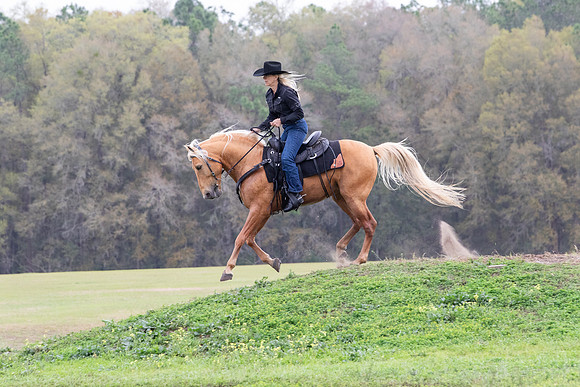 FLHorseParkRace-271