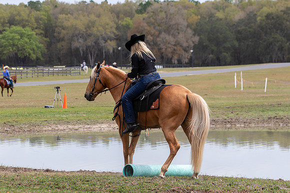 FLHorseParkRace-346