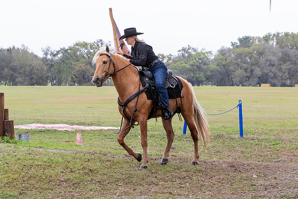 FLHorseParkRace-270