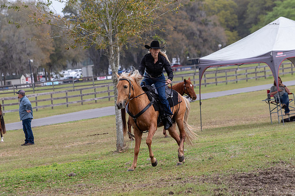 FLHorseParkRace-273