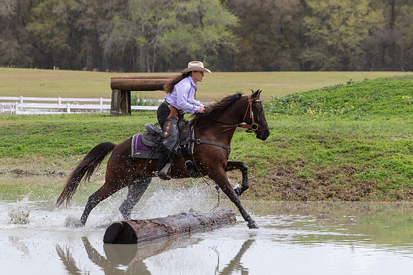 FLHorseParkRace-356