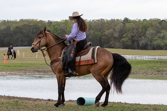 FLHorseParkRace-134