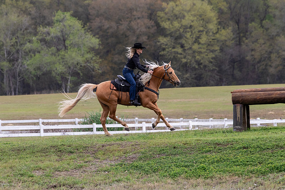 FLHorseParkRace-255