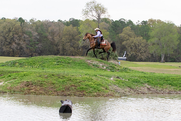 FLHorseParkRace-142