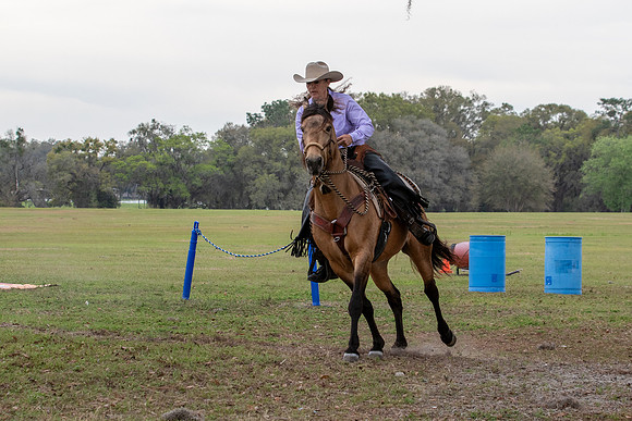FLHorseParkRace-133