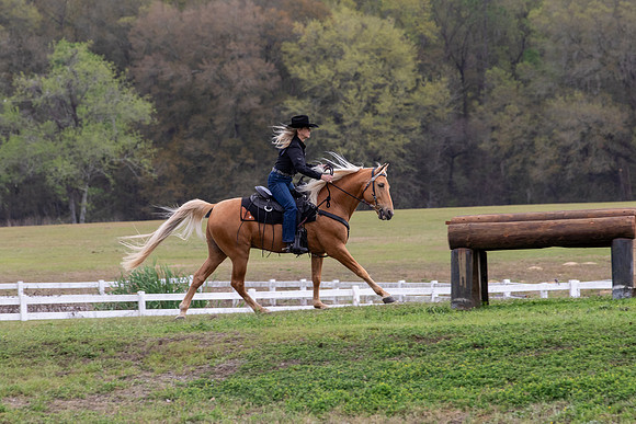 FLHorseParkRace-256