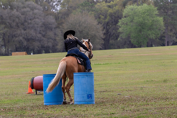 FLHorseParkRace-260