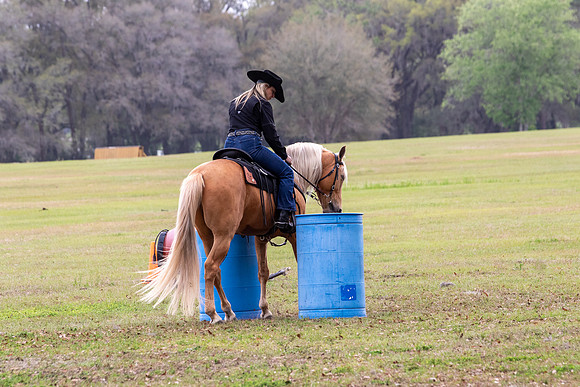 FLHorseParkRace-261