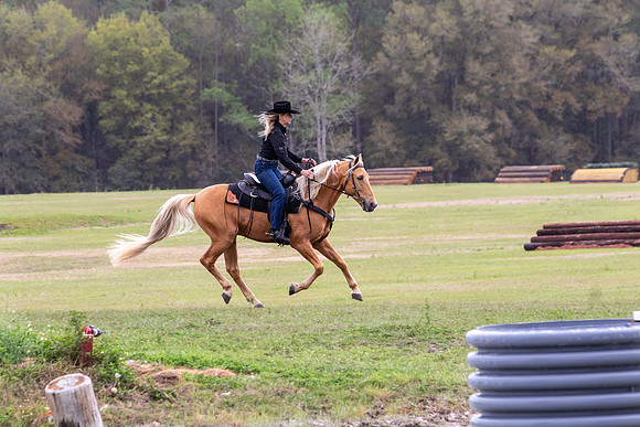 FLHorseParkRace-257
