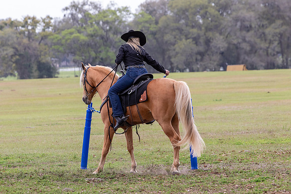 FLHorseParkRace-264