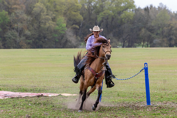 FLHorseParkRace-321