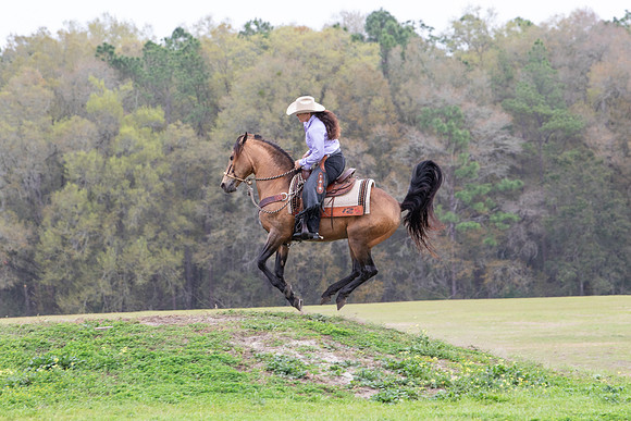 FLHorseParkRace-325