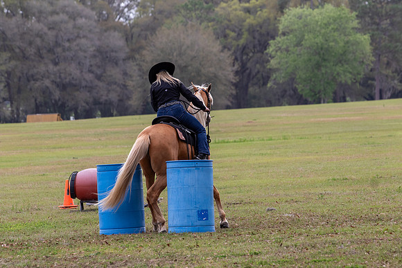 FLHorseParkRace-259