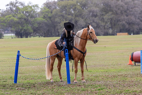 FLHorseParkRace-262