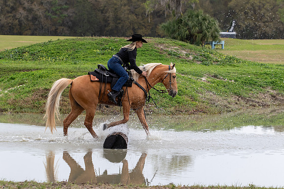 FLHorseParkRace-267