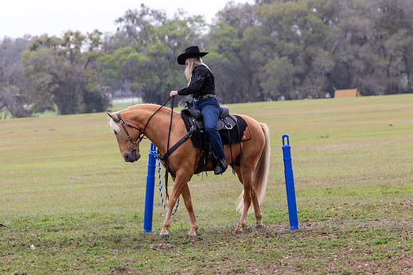 FLHorseParkRace-263