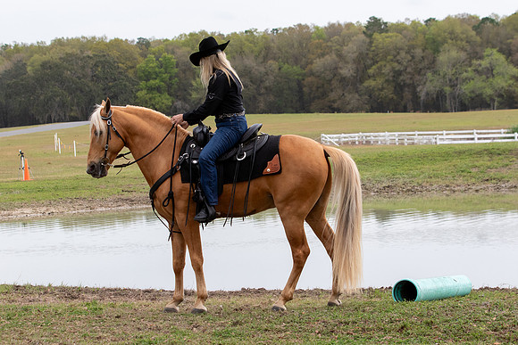 FLHorseParkRace-265