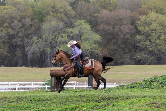 FLHorseParkRace-329