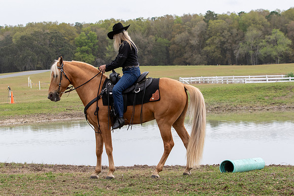 FLHorseParkRace-266