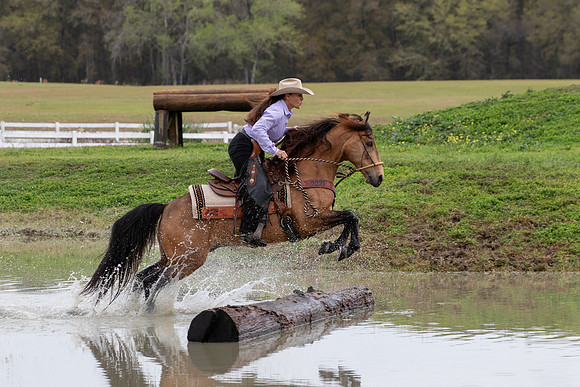 FLHorseParkRace-323