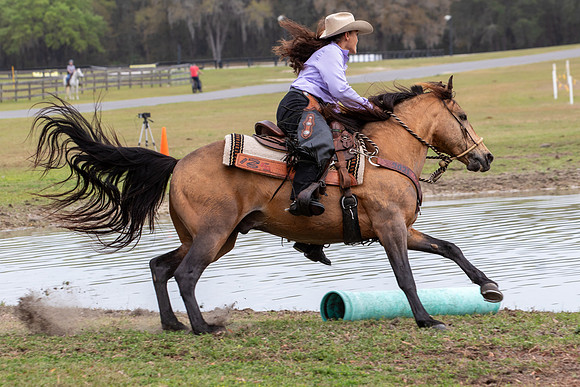 FLHorseParkRace-331