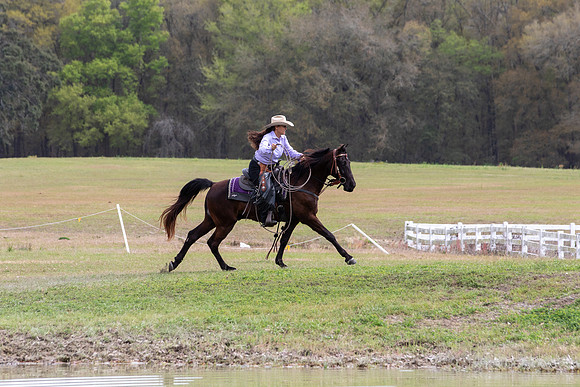 FLHorseParkRace-350