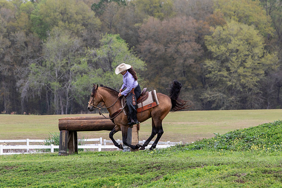 FLHorseParkRace-328