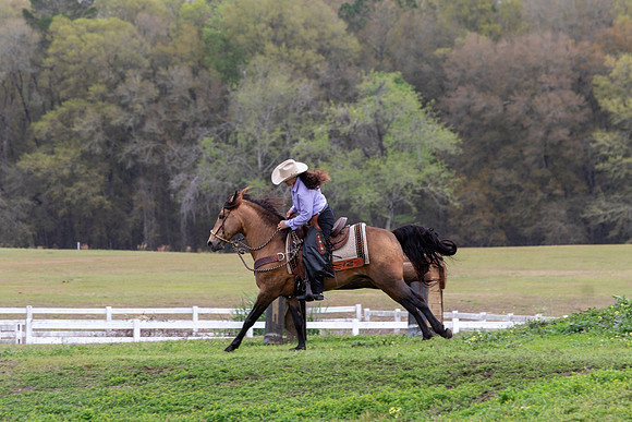FLHorseParkRace-330