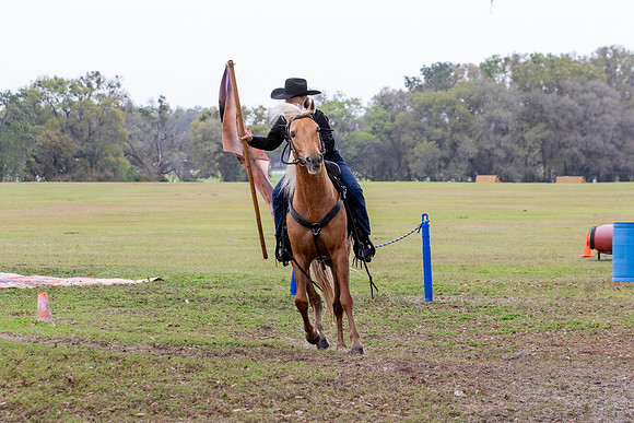FLHorseParkRace-269