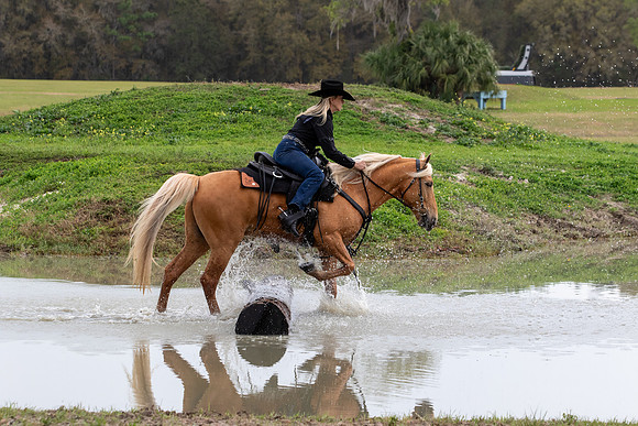 FLHorseParkRace-268
