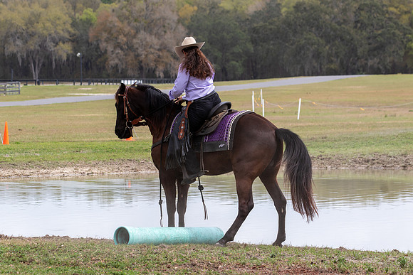 FLHorseParkRace-353