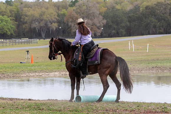 FLHorseParkRace-352