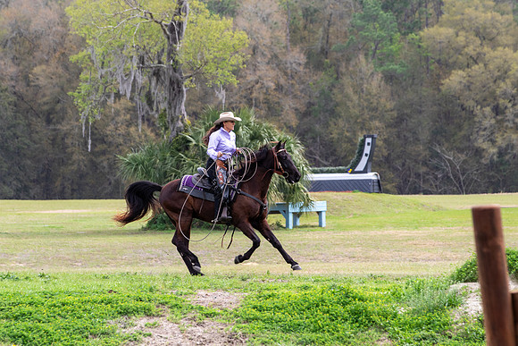 FLHorseParkRace-351