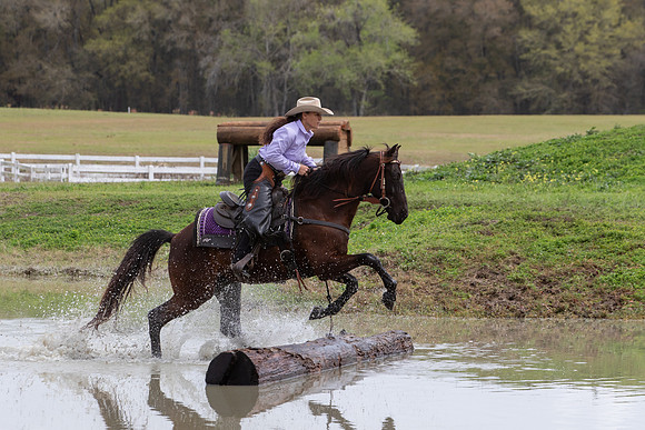 FLHorseParkRace-355