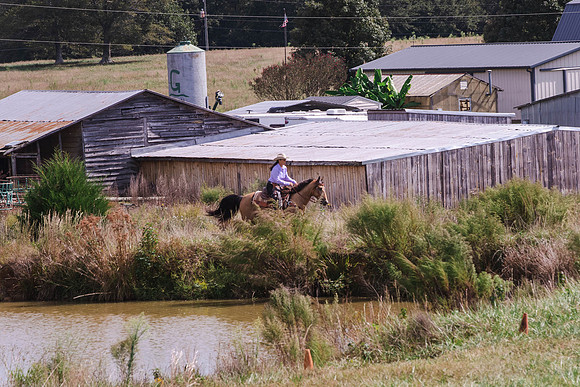 Tracy-0832