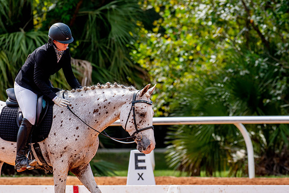 HorseShow-0750