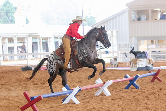 EXCARegionals-1034