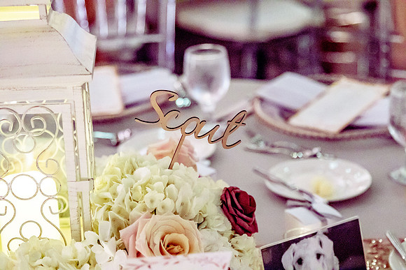 PerdueWedding-0767