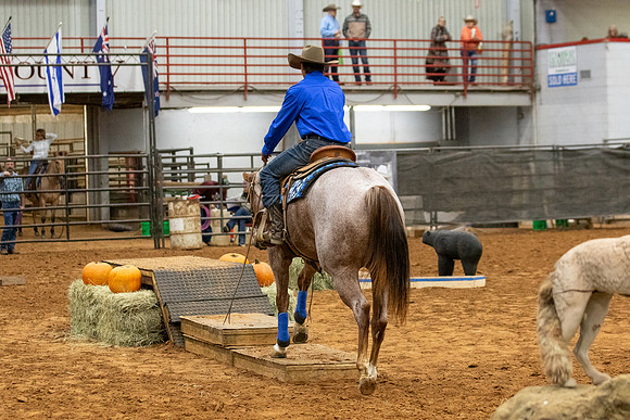 Int&FuturityR1-600