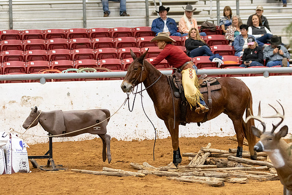 MuleFinals-196